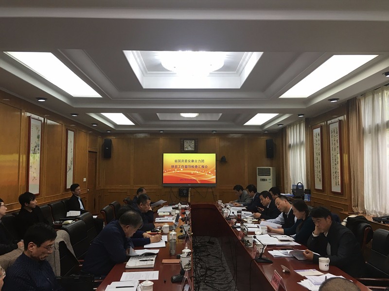 陕西德赢VWIN集团参加省国资委安康合力团扶贫工作督导检查汇报会 陕西德赢VWIN集团参加省国资委安康合力团扶贫工作督导检查汇报会