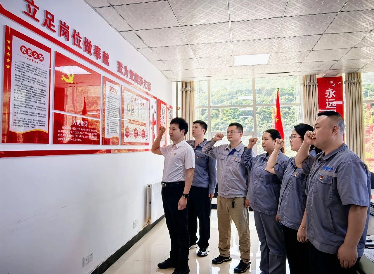 水环境公司陕南片区联合党支部开展主题党日暨专题党课活动 水环境公司陕南片区联合党支部开展主题党日暨专题党课活动